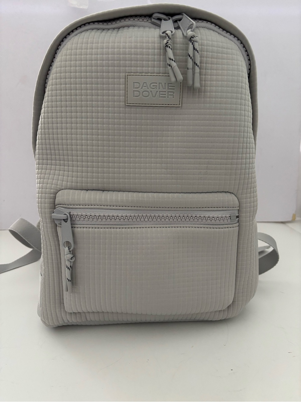 Dagne Dover Light Gray Travel Backpack